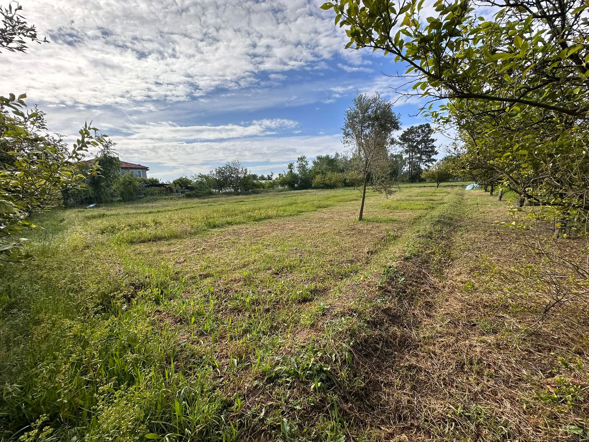 2 DECLAR FIELD WITH MOUNTAIN VIEW IN DALAKLI NEIGHBORHOOD - Görsel 2