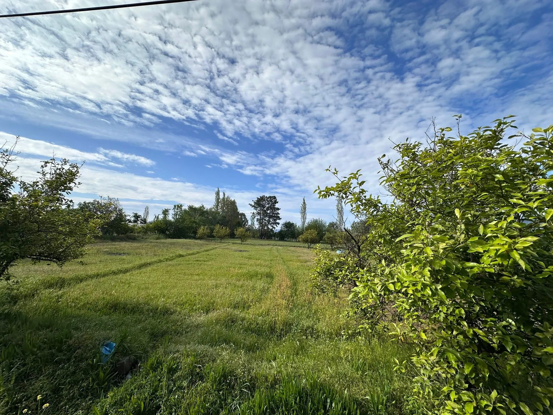 2 DECLAR FIELD WITH MOUNTAIN VIEW IN DALAKLI NEIGHBORHOOD - Görsel 3