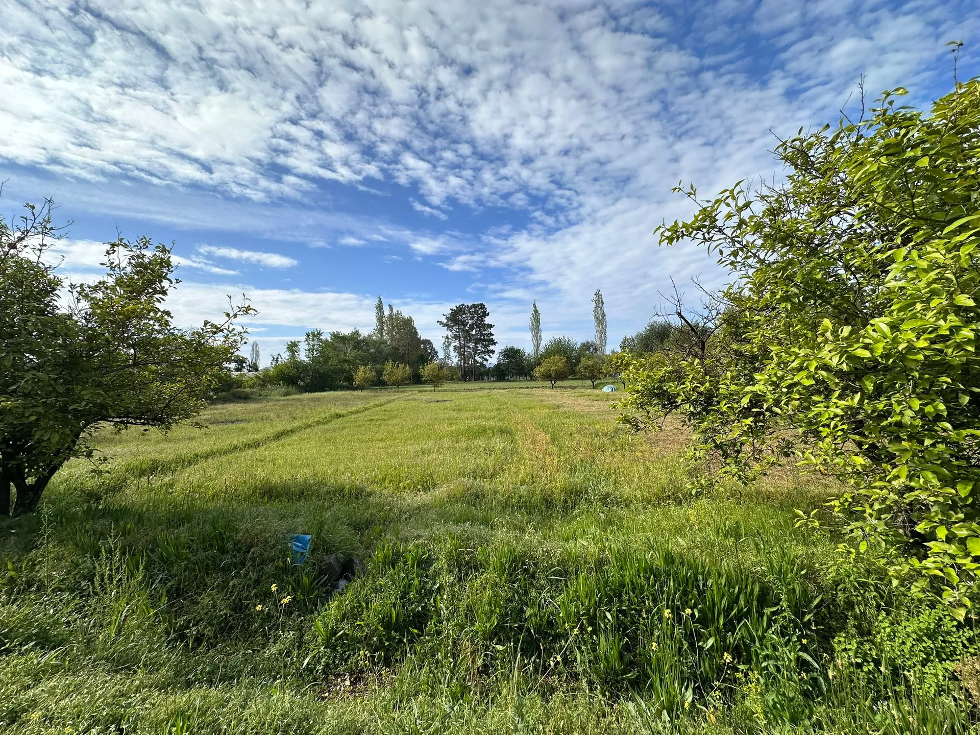 2 DECLAR FIELD WITH MOUNTAIN VIEW IN DALAKLI NEIGHBORHOOD - Görsel 5