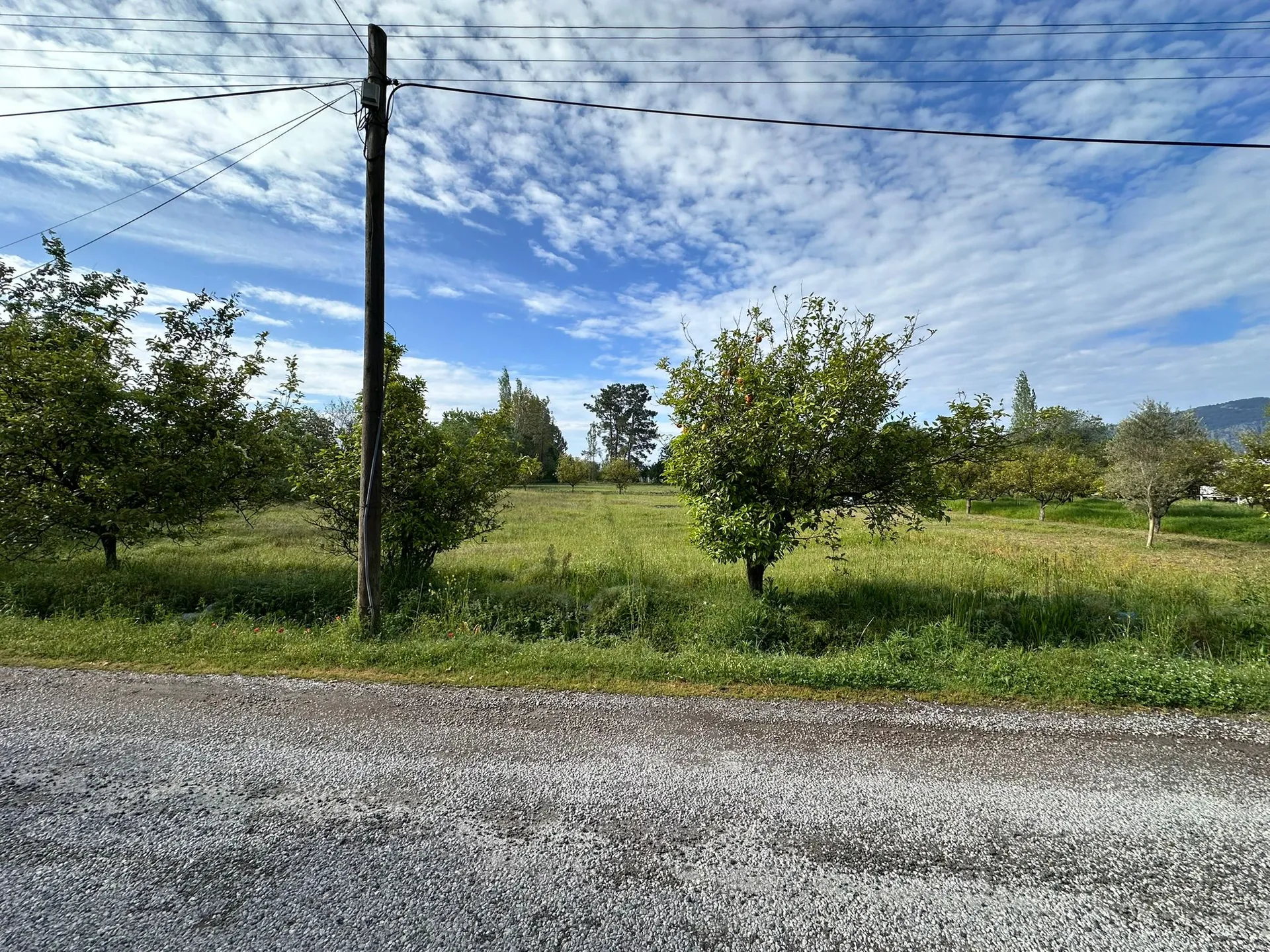 2 DECLAR FIELD WITH MOUNTAIN VIEW IN DALAKLI NEIGHBORHOOD - Görsel 6
