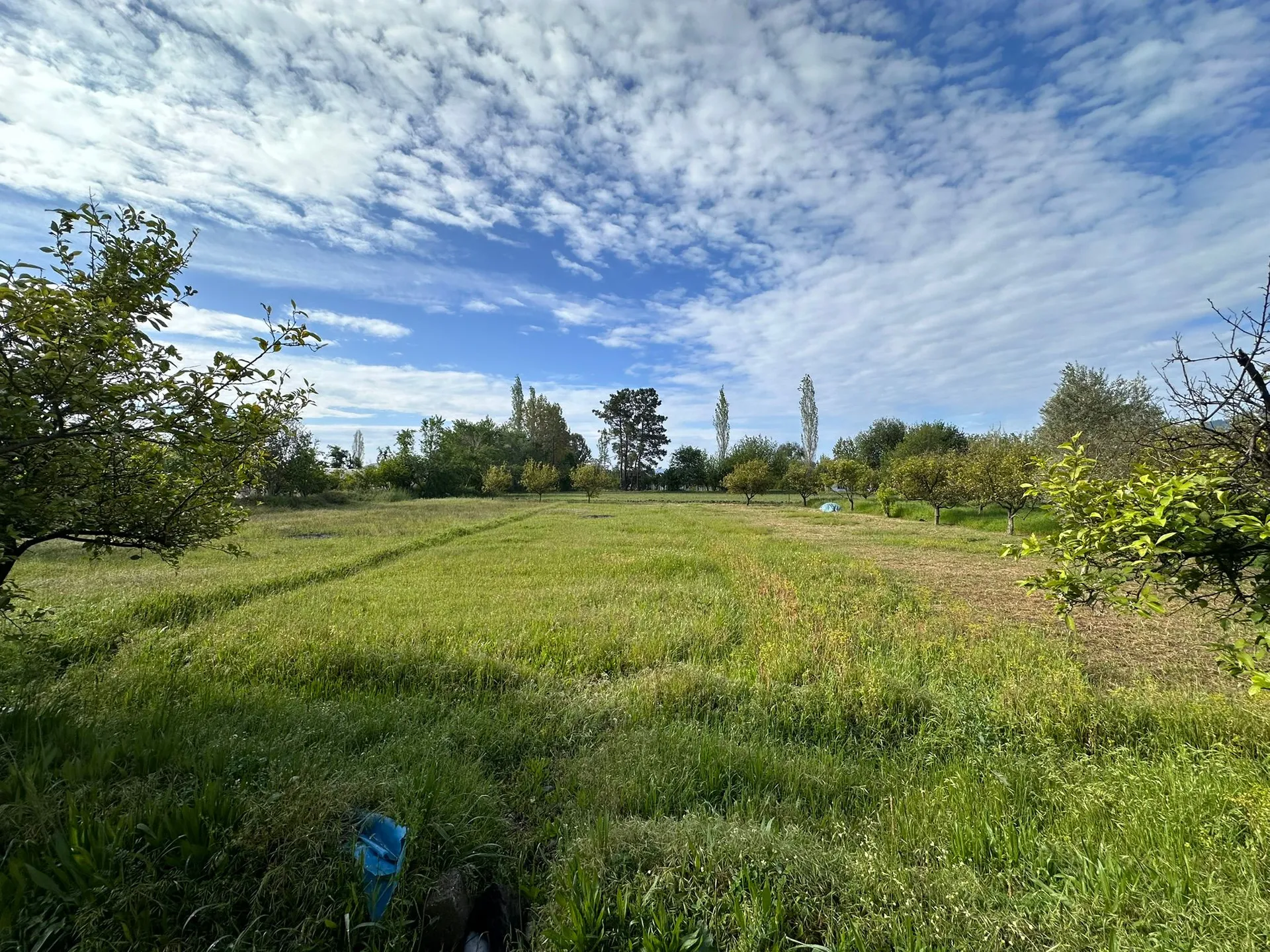 2 DECLAR FIELD WITH MOUNTAIN VIEW IN DALAKLI NEIGHBORHOOD - Görsel 8
